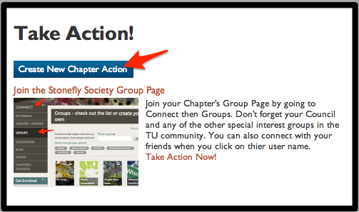 Create New Chapter Action