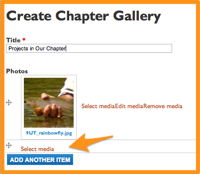 File:Chapter Gallery Adding Photos.png
