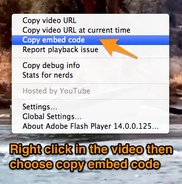 Copying the embed code from the video