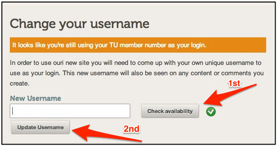 Change Your Username window