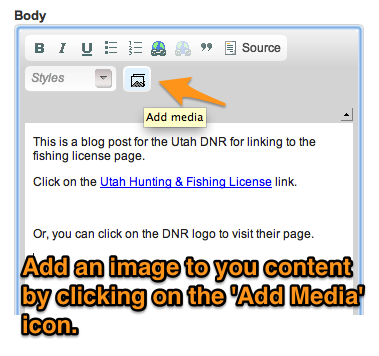 Add an image with the 'Add media' button