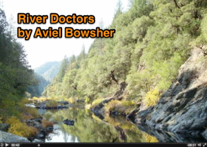 River Doctors by Aviel Bowsher